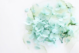 Creative image of pastel mint Hydrangea flowers on artistic ink background. Top view with copy space