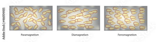 Physics illustration of paramagnetism, diamagnetism and ferromagnetism (Types of magnetism)