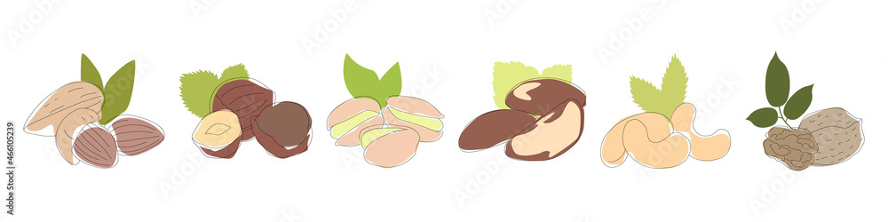 Set of one line nuts. Vector monoline brown almond, hazelnut, pistachio, brazil, cashew, walnut. Isolated on white. Healthy eats concept. Print, textile, fashion, doodle, media, postcard, package.