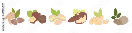 Set of one line nuts. Vector monoline brown almond, hazelnut, pistachio, brazil, cashew, walnut. Isolated on white. Healthy eats concept. Print, textile, fashion, doodle, media, postcard, package.