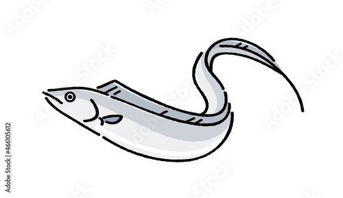 太刀魚