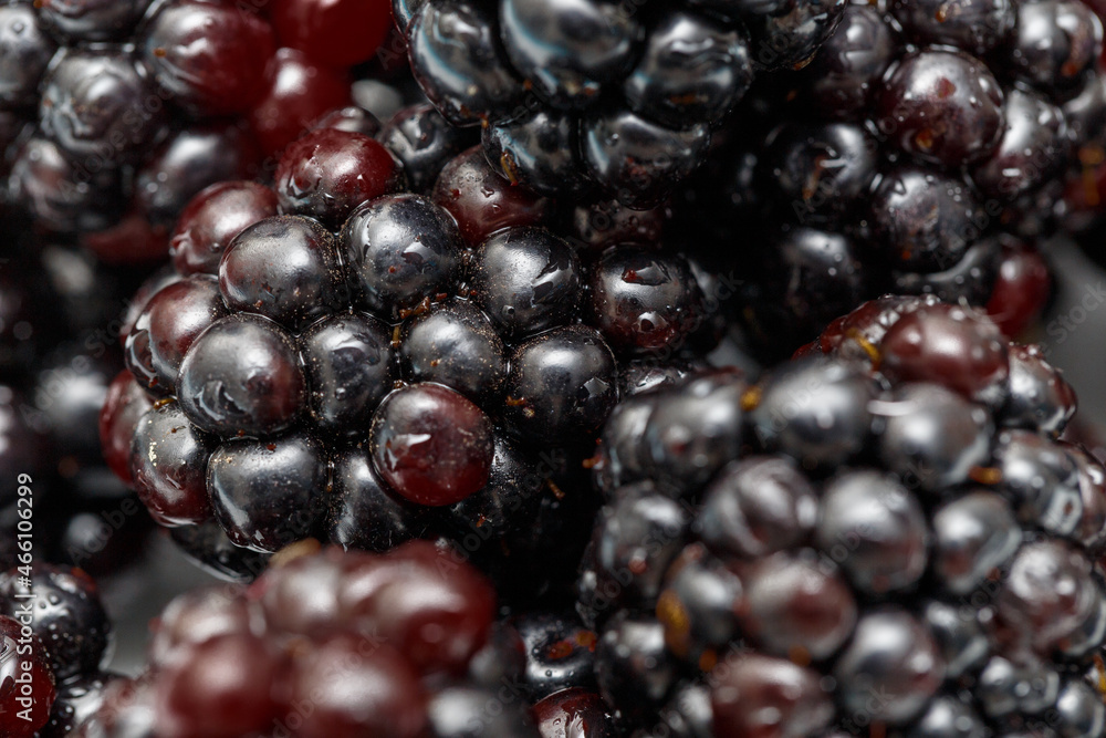 Ripe fresh blackberries, an abstract background of blackberries. Top view. Close-up. Macro. Blackberry berries with water drops. Flat lay. Useful forest fruits. Super food. Concept of healthy eating Ripe fresh blackberries, an abstract background of blackberries. Top view. Close-up. Macro. Blackberry berries with water drops. Flat lay. Useful forest fruits. Super food. Concept of healthy eating
