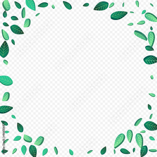 Olive Greens Spring Vector Transparent Background