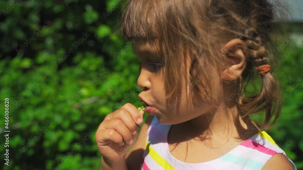 Cute girl holds a fresh strawberry in her hand from strawberry farm. Child eating strawberries in background of the green garden Cute girl holds a fresh strawberry in her hand from strawberry farm. Child eating strawberries in background of the green garden