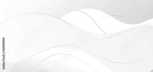 Abstract luxury white and grey wave shape with gold stripes lines background.