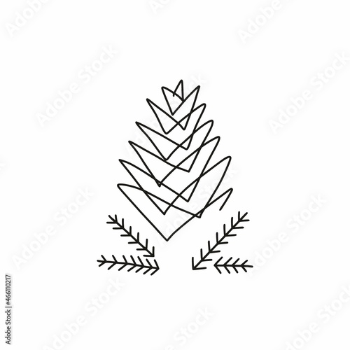 Vector drawing of cedar cones