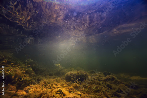 multicolored underwater landscape in the river, algae clear water, plants under water