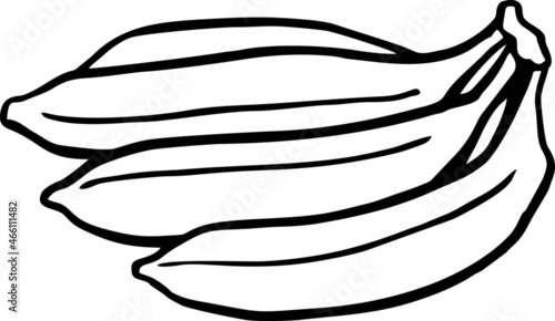 bananas line art, hand draw sketch, vector illustration. For cover, fabric, textil