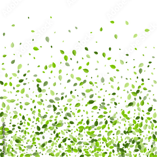 Grassy Leaves Abstract Vector Template. Herbal