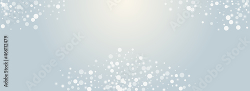 Silver Flake Vector Panoramic Transparent