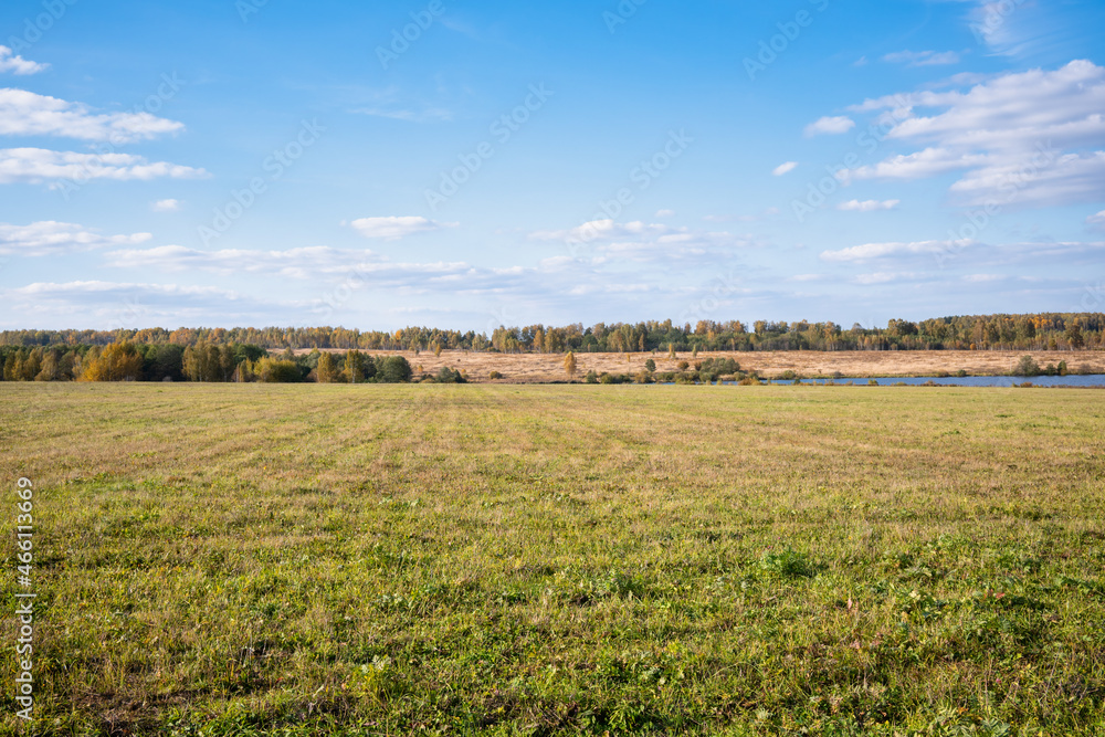 Harvested agricultural field with stripes and colorful trees and a lake on the horizon against the blue sky with white clouds. Autumn landscape in a rural area.