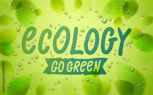 Ecology word drawn on a win...