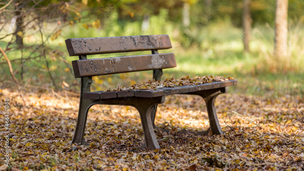 bench in autumn park in Strasbourg in France