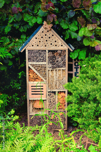 bug hotel for insects