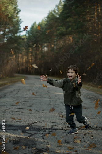 a five-year-old boy runs along the road in the middle of the forest and catches autumn foliage from trees
