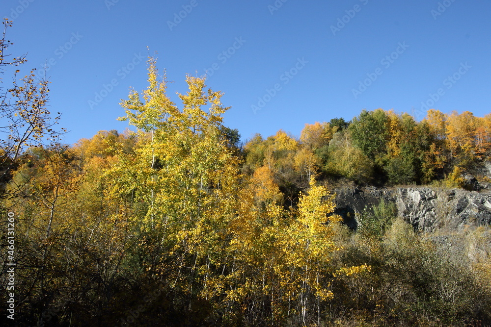 Fototapeta premium Autumn colours in an old quarry.