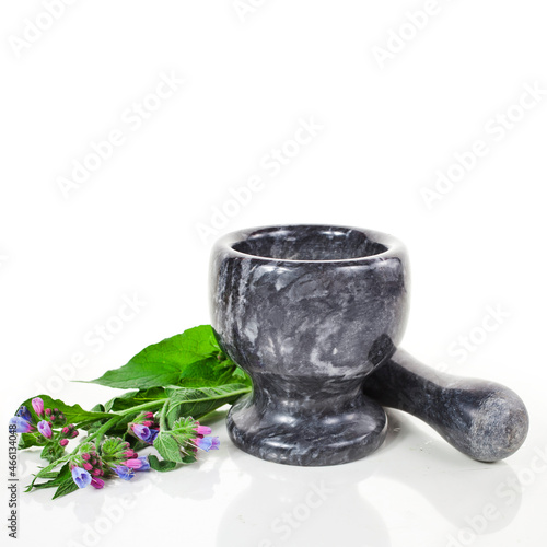 The Common Comfrey (Symphytum officinale) herb in a black stone mortar isolated on a white background.