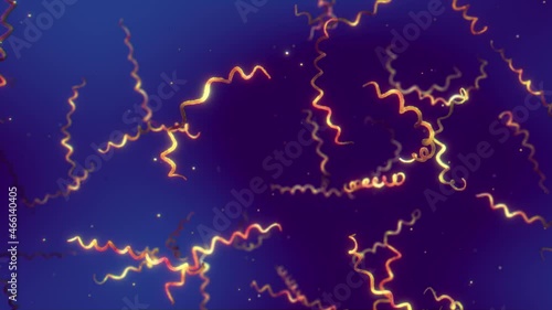 Borrelia recurrentis bacteria infection is the cause of the relapsing fever disease. Spirochete bacteria epidemic concept animation photo