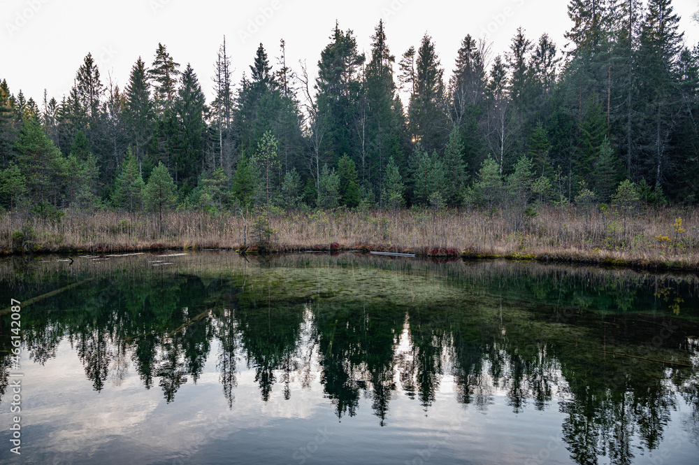 Reflection on pond