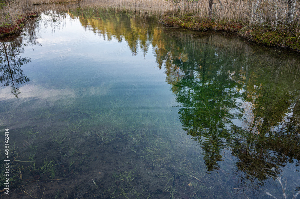 Reflection on pond Reflection on pond