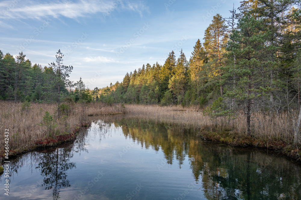 Obraz premium Reflection on pond