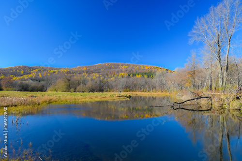 Fall colors in the Canadian forest with river in the province of Quebec © Gilles Rivest