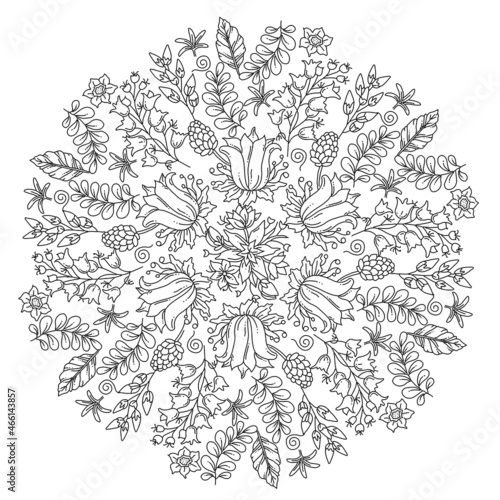 Wallpaper Mural Hand drawn coloring page for kids and adults. Beautiful drawing with patterns and small details. Coloring book pictures. Botany, flowers, herbs, leaves. Mandala colouring Torontodigital.ca