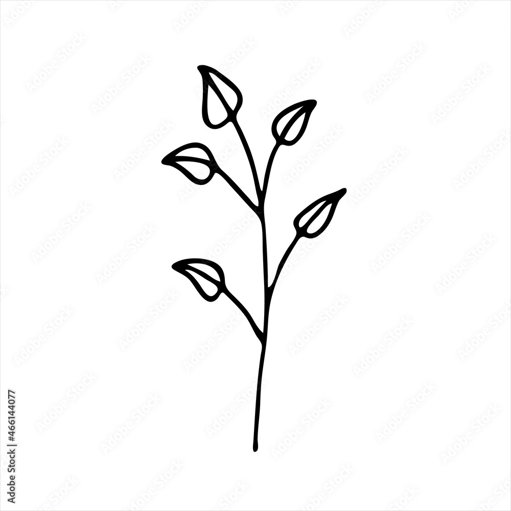A painted branch with leaves. Doodle style, floral decor, greenery pattern, minimalism. Isolated. Vector illustration. A painted branch with leaves. Doodle style, floral decor, greenery pattern, minimalism. Isolated. Vector illustration.