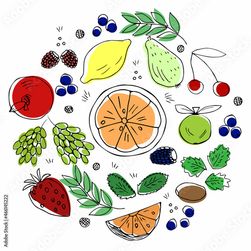 set of hand-drawn multicolored fruit elements in the style of doodles arranged in a circle for conceptual design. vector illustration isolated on a white background. orange, lemon, grape,raspberry