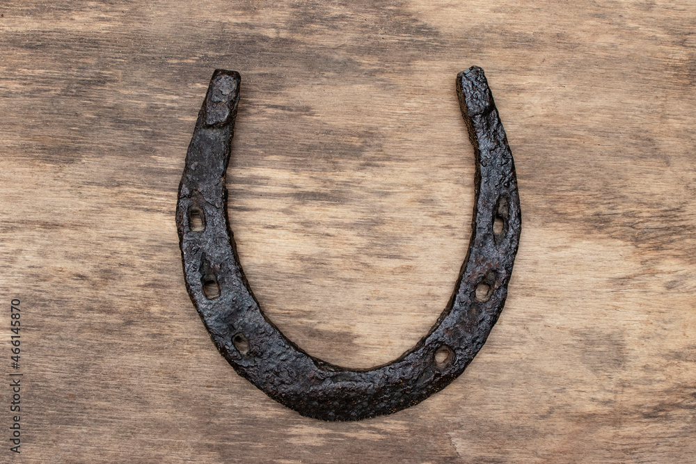Horse horseshoe. Horse horseshoe.