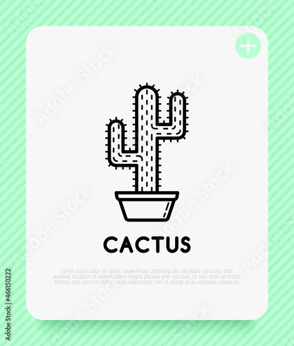 Cactus with prickles in pot thin line icon. Modern vector illustration of home plant.