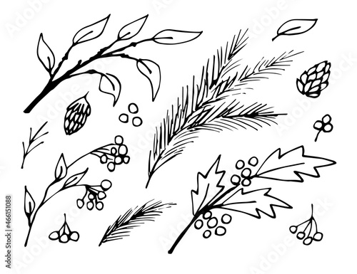 Hand-drawn vector drawing in black outline. Autumn winter botanical set of twigs, berries, foliage, holly, pine cones, twigs. Ink sketch.