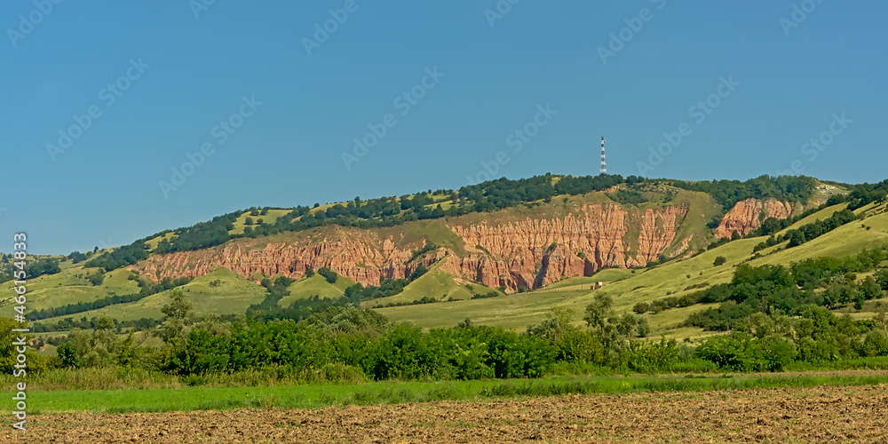 Naklejka premium Pink rocks and green trees and shrubs of Rapa Rosie geologic formation, the grand canyon of Romania, under a clear blue sky