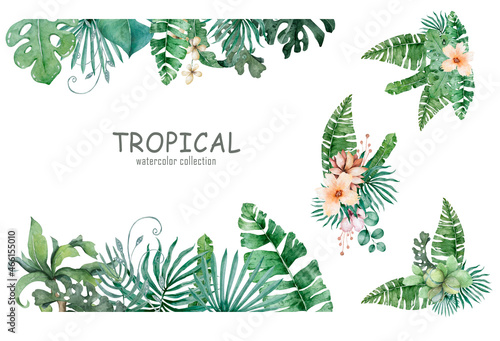 Tropical foliage. Floral design jungle leaves frame background. Banner. Hand drawn watercolor illustration