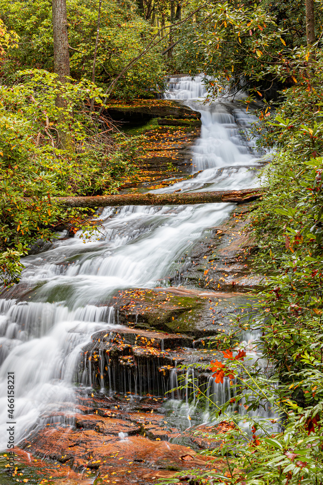 Mountain laurel and orange leaves surround the Camp Creek Waterfall