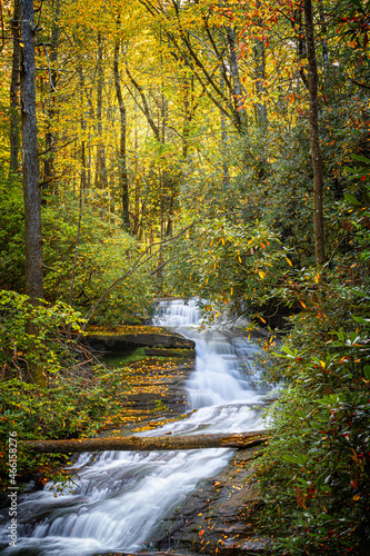 Pisgah Forest full of yellow and orange autumn colors