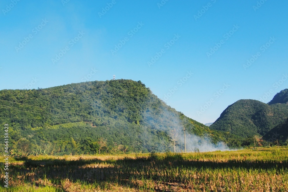 Obraz premium Field in the mountain, Hainan China