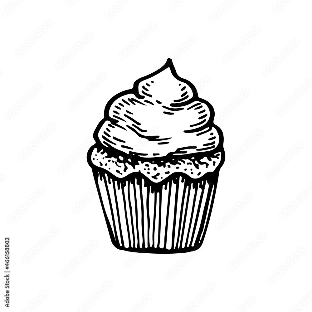 Sponge cake with cream for the holiday. Sweet dessert for the birthday party. Muffin, cupcake. Hand drawn line vector illustration in doodle style.