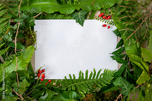 Sheet of paper on a green background. Creative winter layout made of branches and leaves with paper card note. Flat lay. Nature concept. Creative nature background.