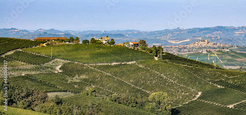landscapes of the Piedmontese Langhe during the harvest  with the bright colors of autumn