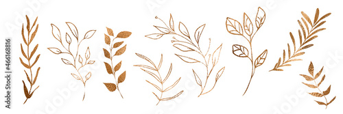 Vector plants and grasses in gold style with gloss effects and and gold paint splatters. Minimalist style of hand drawn plants. With leaves and organic shapes. For your own design.