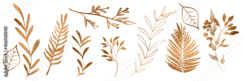 Vector plants and grasses in gold style with gloss effects and and gold paint splatters. Minimalist style of hand drawn plants. With leaves and organic shapes. For your own design.