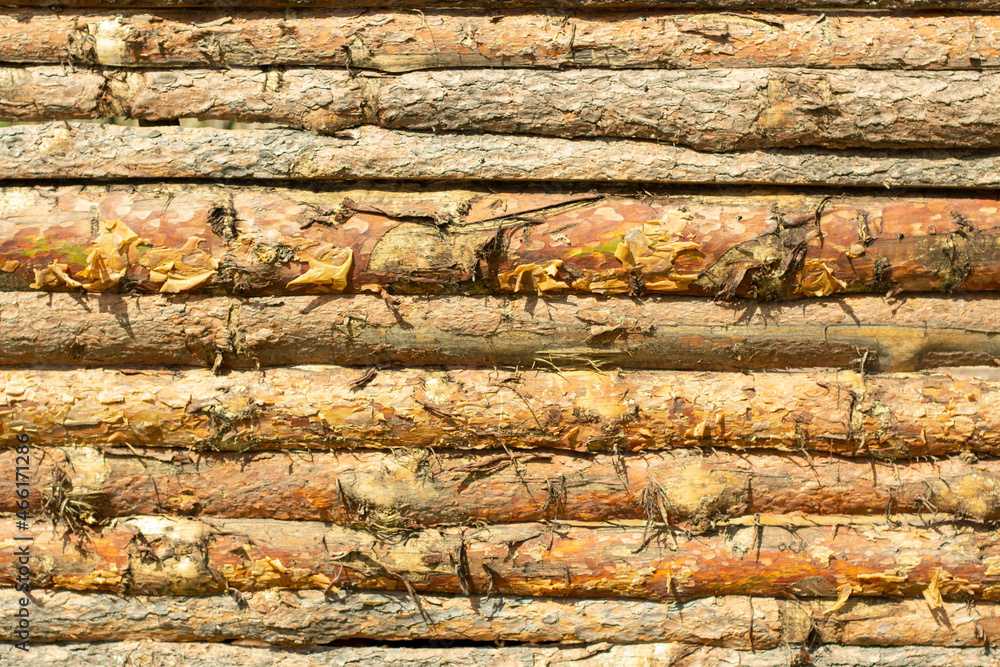 Fence of logs. Fence of pine boards. Fence of logs. Fence of pine boards.