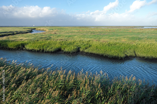 Nationalpark Niedersächsisches Wattenmeer bei Harlesiel an der Nordseeküste und Deichvorland mit Schilf und Priel und Salzwiesen und weiße Wolken und blauer Himmel - Stockfoto