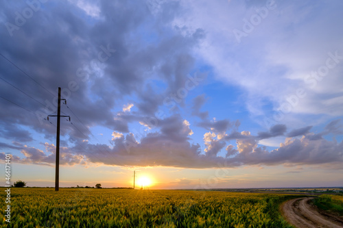 A field of ripening wheat and a beautiful evening sky.