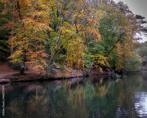 Autumn colours in full display at Waggoners Wells  Surrey.