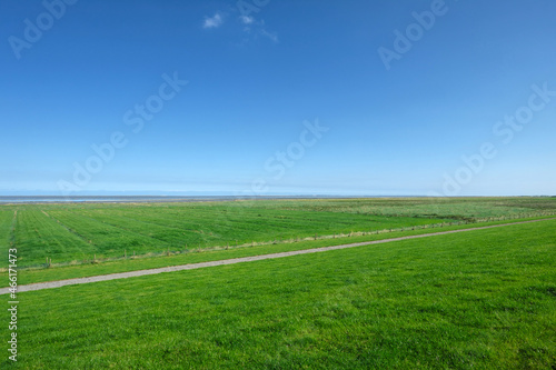 Panorama-Foto im Nationalpark Niedersächsisches Wattenmeer bei Harlesiel an der Nordseeküste und Deichvorland mit großem Weidegebiet und blauer Himmel - Stockfoto
