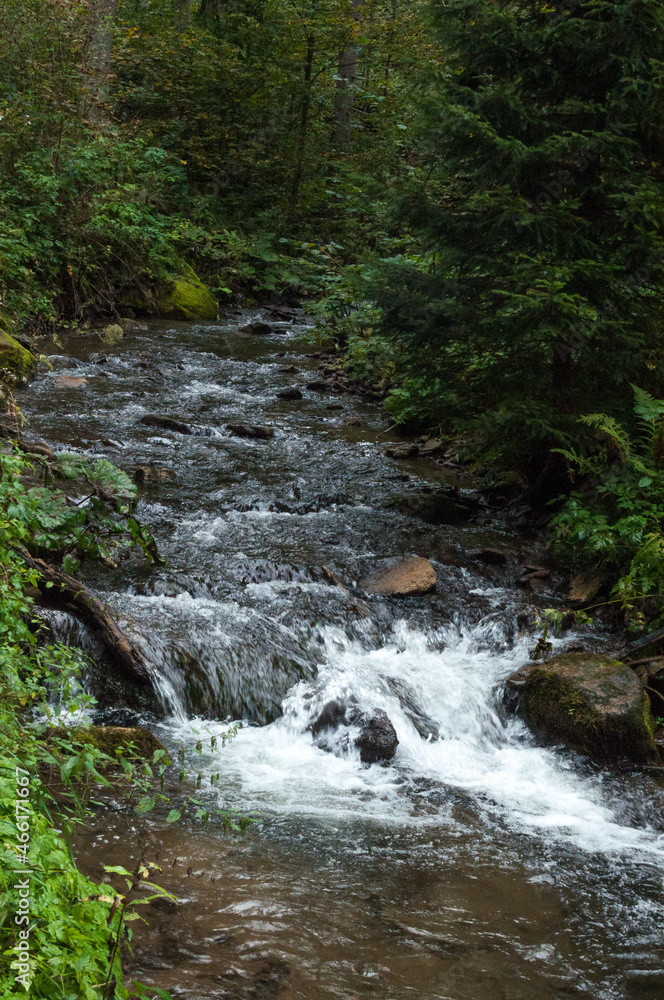 Wilder Bach in einer kleinen Klamm in Österreich Wilder Bach in einer kleinen Klamm in Österreich