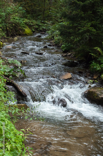 Wilder Bach in einer kleinen Klamm in   sterreich 