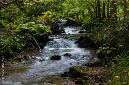 Fototapeta Naklejka Na Ścianę i Meble -  Kleiner Wasserfall in der Steiermark mit weichgezeichnetem Wasser